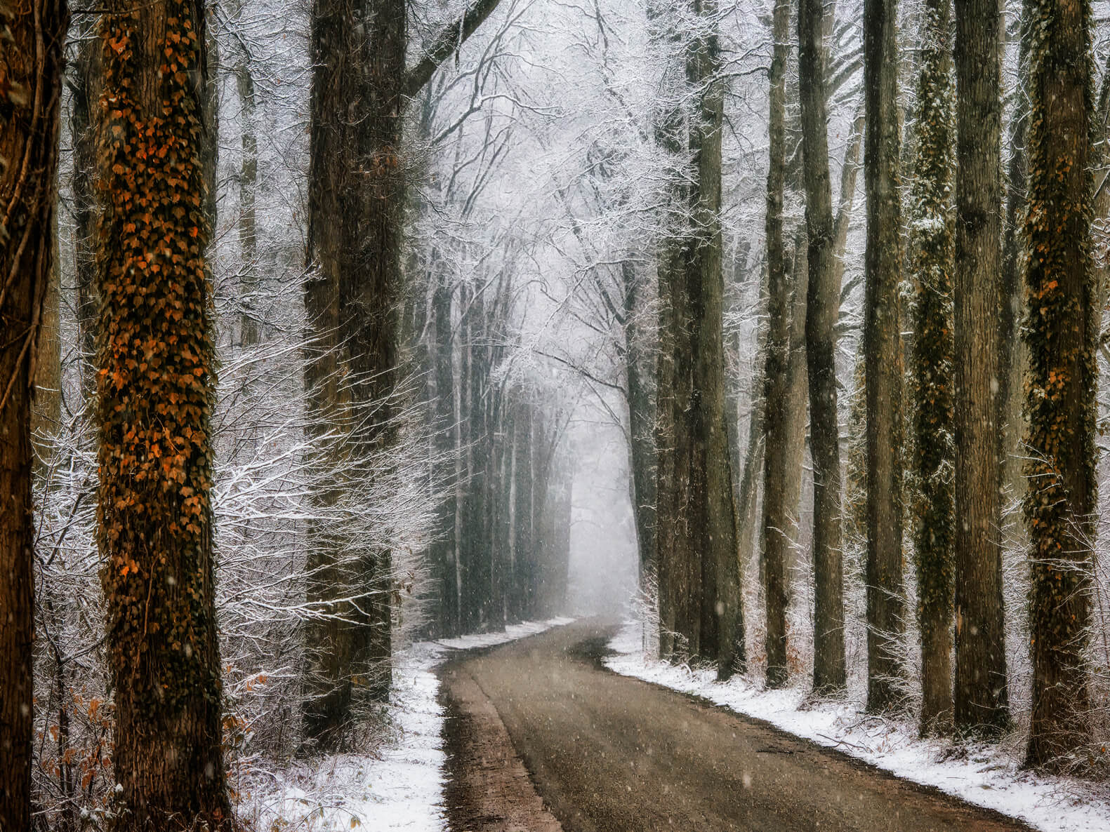 Winter in Velhorst