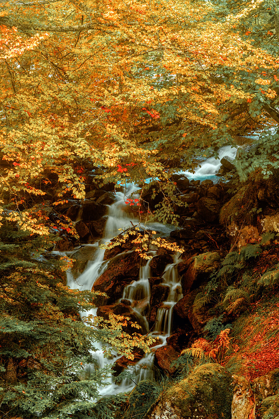Hidden Waterfall II
