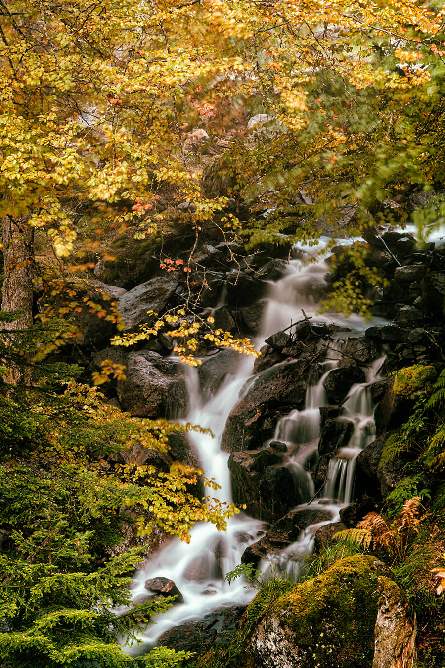 Hidden Waterfall